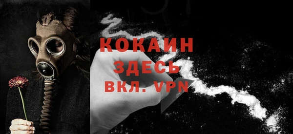 прущие грибы Кукмор