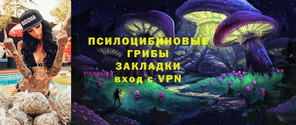 прущие грибы Кукмор