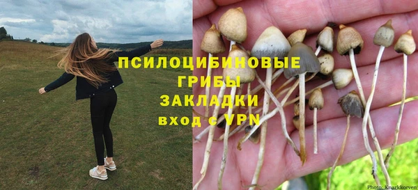прущие грибы Кукмор