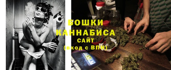 прущие грибы Кукмор