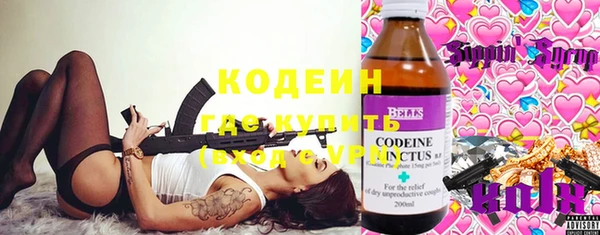 прущие грибы Кукмор