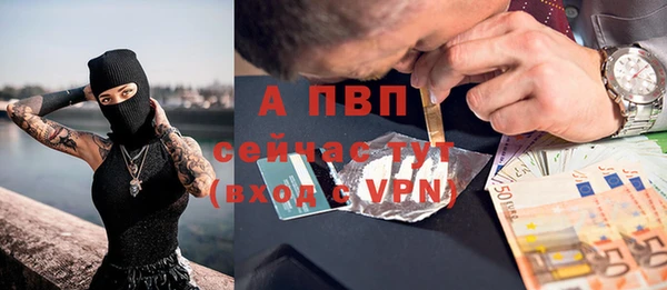 прущие грибы Кукмор