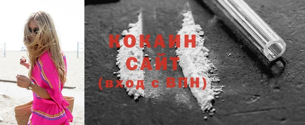 прущие грибы Кукмор