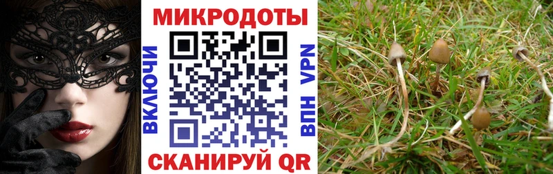 Купить  Долгопрудный  Галлюциногенные грибы ЛСД 